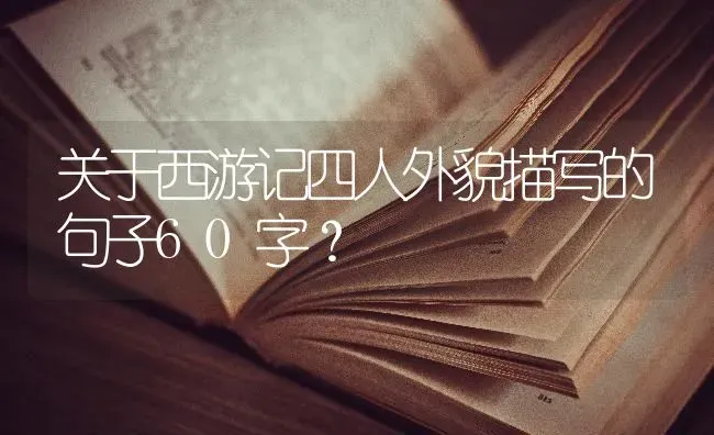 关于西游记四人外貌描写的句子60字？ | 动物养殖问答