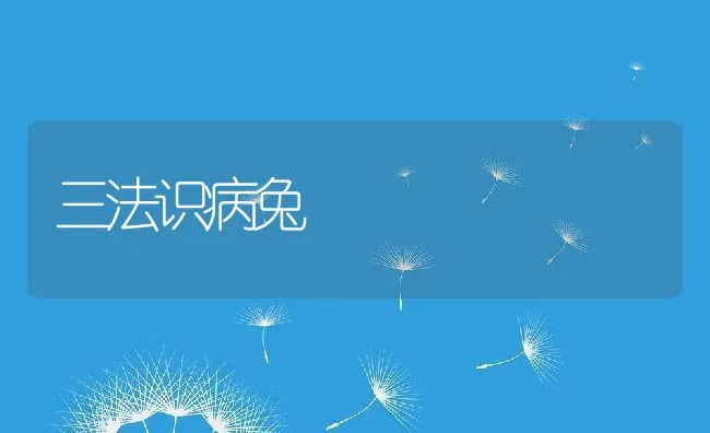 三法识病兔 | 动物养殖学堂