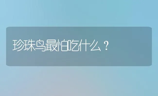 珍珠鸟最怕吃什么？ | 动物养殖问答