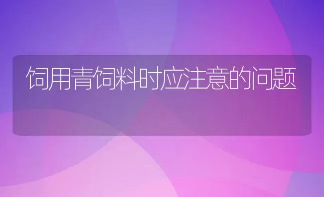 子宫冲洗在治疗子宫炎中的应用 | 动物养殖学堂