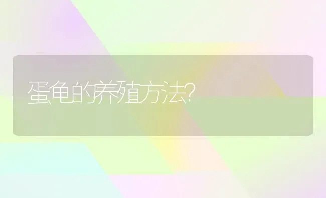 蛋龟的养殖方法？ | 动物养殖问答