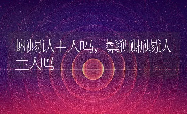 蜥蜴认主人吗,鬃狮蜥蜴认主人吗 | 宠物百科知识