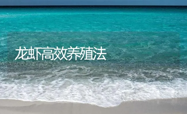 龙虾高效养殖法 | 海水养殖技术