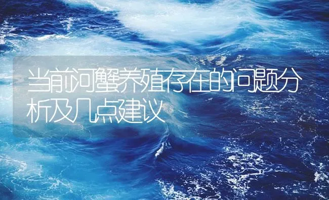 当前河蟹养殖存在的问题分析及几点建议 | 海水养殖技术