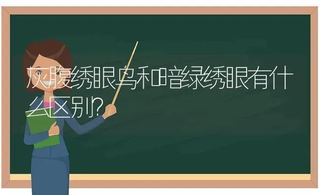 凤梨鹦鹉可以养吗？ | 动物养殖问答