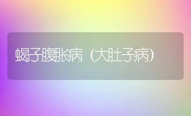 蝎子腹胀病（大肚子病） | 动物养殖百科