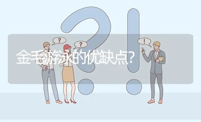 金毛游泳的优缺点？ | 动物养殖问答