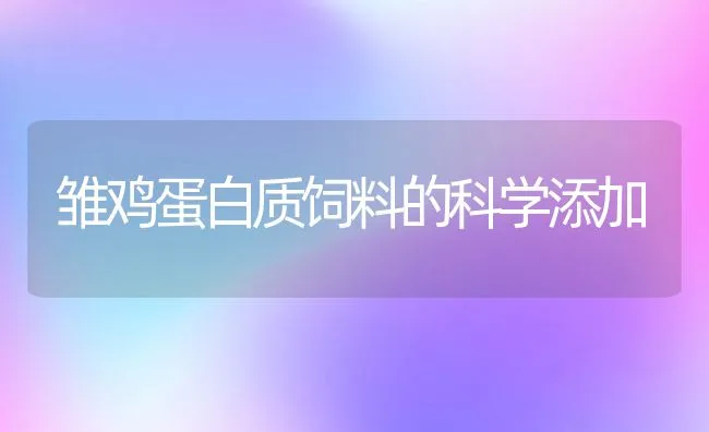 雏鸡蛋白质饲料的科学添加 | 动物养殖饲料