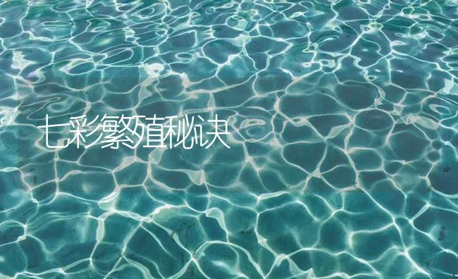 七彩繁殖秘诀 | 海水养殖技术