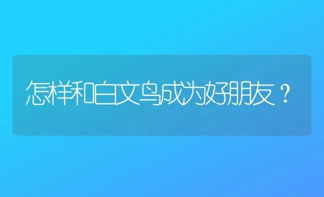 怎样和白文鸟成为好朋友？ | 动物养殖问答