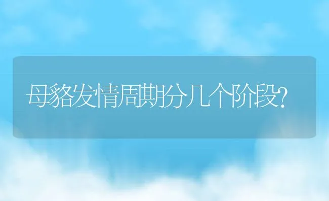 母貉发情周期分几个阶段？ | 动物养殖学堂