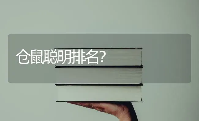 仓鼠聪明排名？ | 动物养殖问答