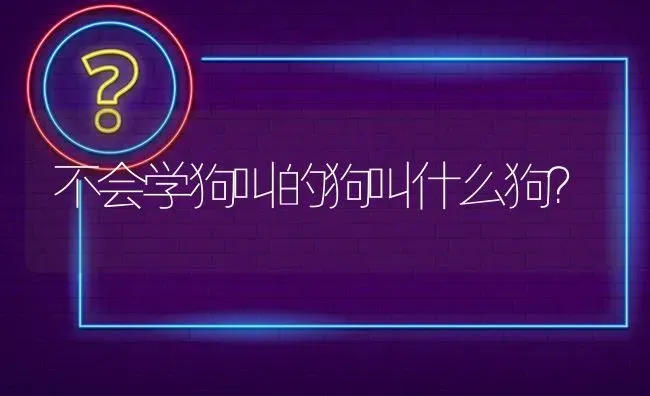 不会学狗叫的狗叫什么狗？ | 动物养殖问答