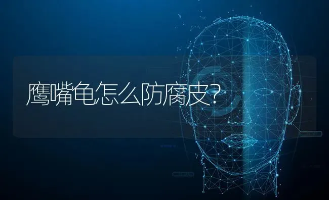 鹰嘴龟怎么防腐皮？ | 动物养殖问答