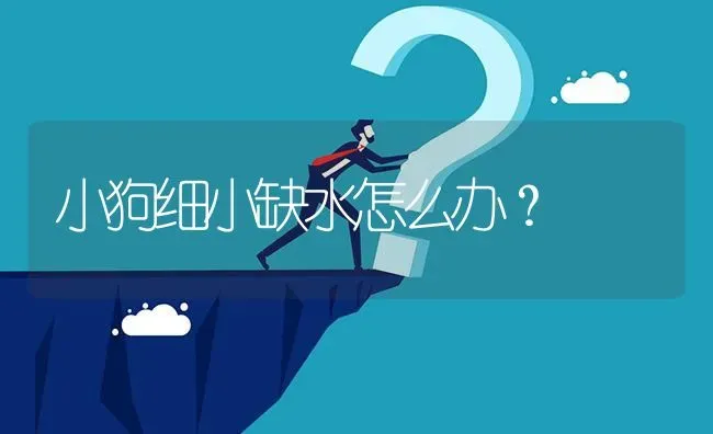 小狗细小缺水怎么办？ | 动物养殖问答