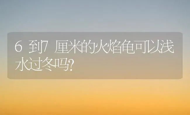 6到7厘米的火焰龟可以浅水过冬吗？ | 动物养殖问答