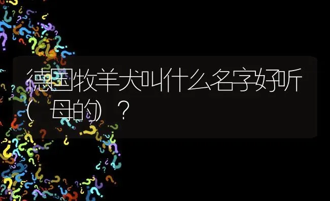 德国牧羊犬叫什么名字好听(母的)？ | 动物养殖问答