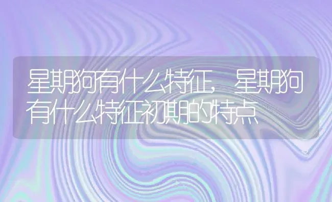 星期狗有什么特征,星期狗有什么特征初期的特点 | 宠物百科知识