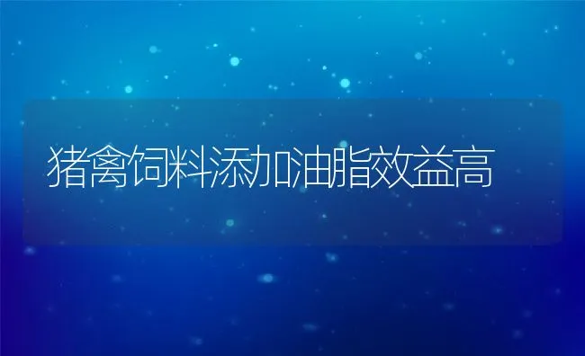 猪禽饲料添加油脂效益高 | 动物养殖学堂