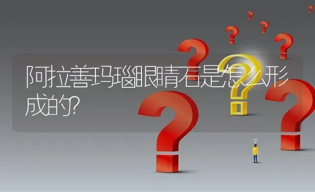 阿拉善玛瑙眼睛石是怎么形成的？ | 鱼类宠物饲养