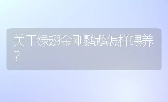 关于绿翅金刚鹦鹉怎样喂养？ | 动物养殖问答