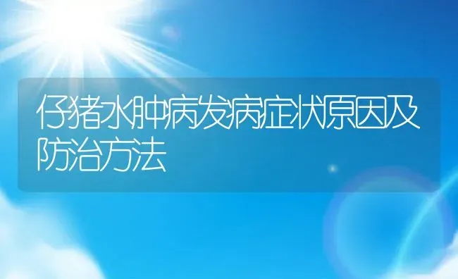 仔猪水肿病发病症状原因及防治方法 | 动物养殖百科