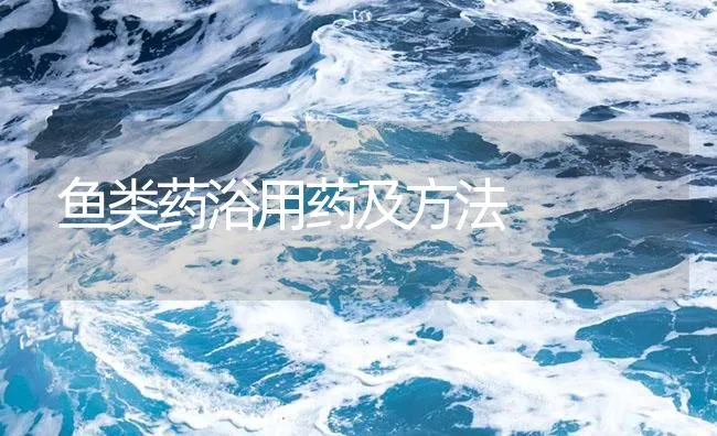 鱼类药浴用药及方法 | 海水养殖技术