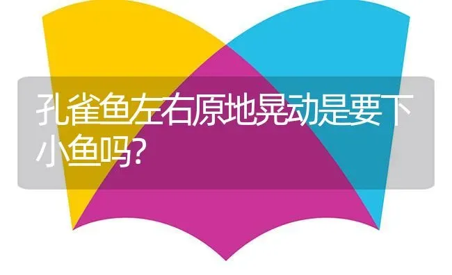 孔雀鱼左右原地晃动是要下小鱼吗？ | 鱼类宠物饲养