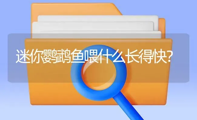 蓝眼罗汉鱼是什么品种？ | 鱼类宠物饲养