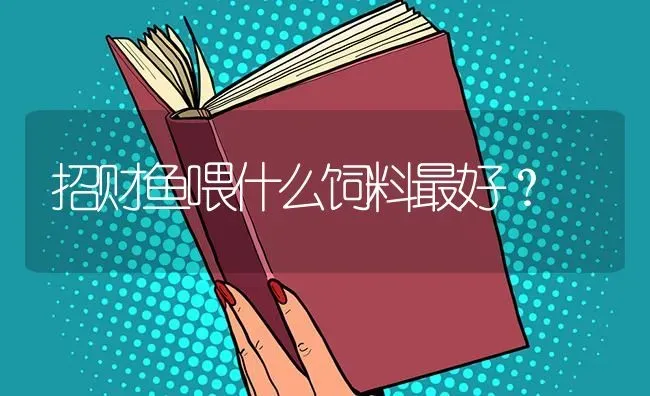 招财鱼喂什么饲料最好？ | 鱼类宠物饲养