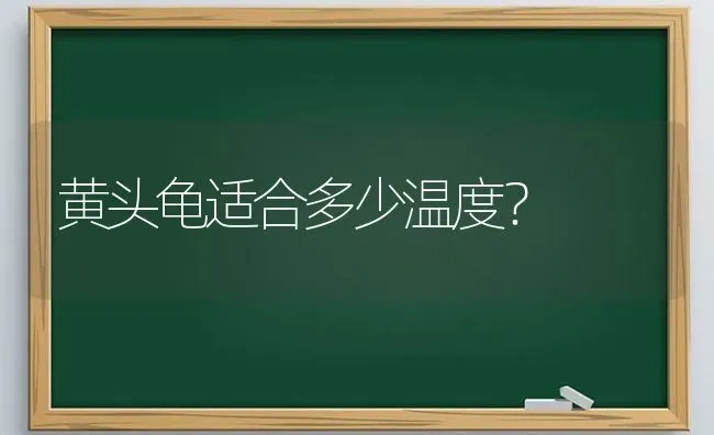 柴犬和萨摩的区别是什么？柴犬有什么特点？ | 动物养殖问答