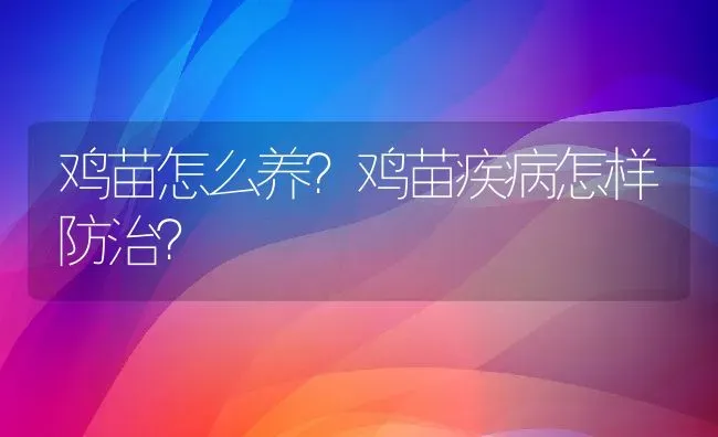 鸡苗怎么养？鸡苗疾病怎样防治？ | 动物养殖教程