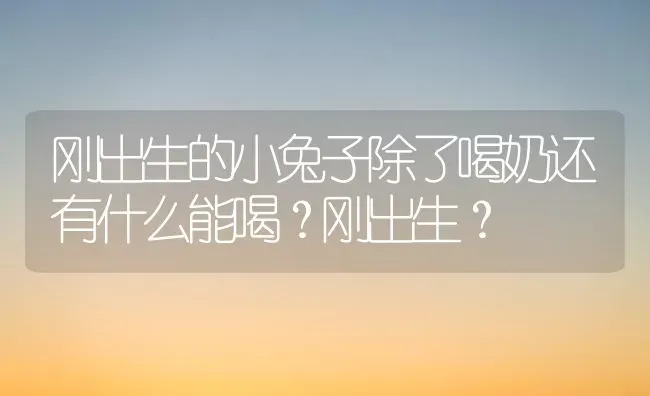 刚出生的小兔子除了喝奶还有什么能喝？刚出生？ | 动物养殖问答