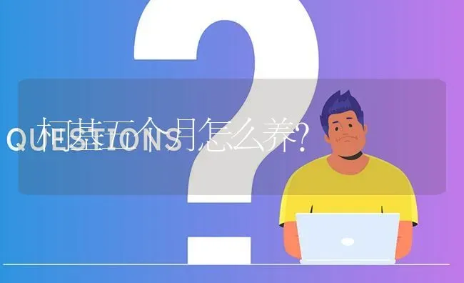 柯基五个月怎么养？ | 动物养殖问答