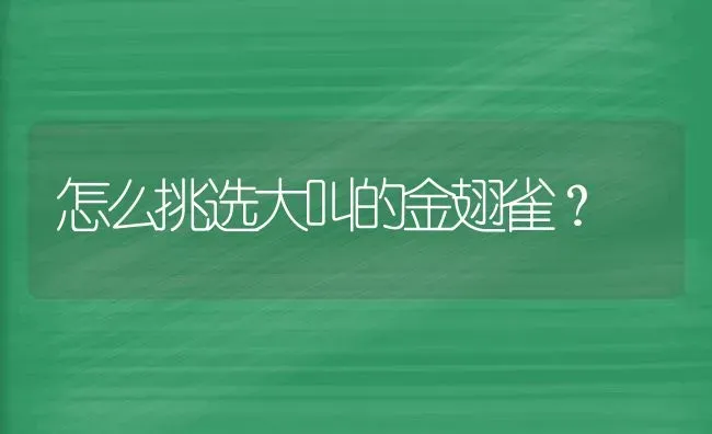 怎么挑选大叫的金翅雀？ | 动物养殖问答