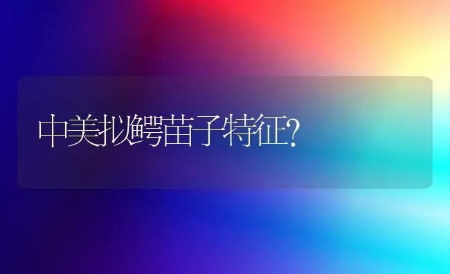 中美拟鳄苗子特征？ | 动物养殖问答