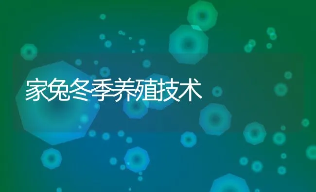 家兔冬季养殖技术 | 动物养殖学堂