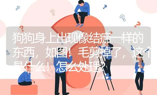 从两个月开始养的，萨摩耶养了三个月，会不会记得主人。我家狗狗在楼下玩，被一个小姑娘给偷走了，不知？ | 动物养殖问答