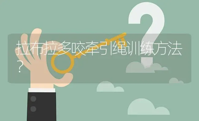 拉布拉多咬牵引绳训练方法？ | 动物养殖问答