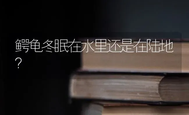 鳄龟冬眠在水里还是在陆地？ | 动物养殖问答