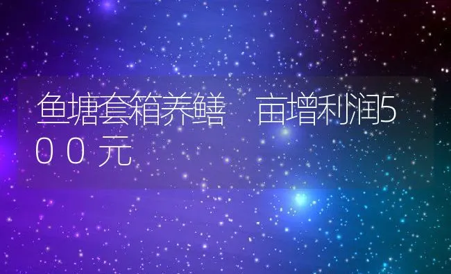 鱼塘套箱养鳝 亩增利润500元 | 动物养殖饲料