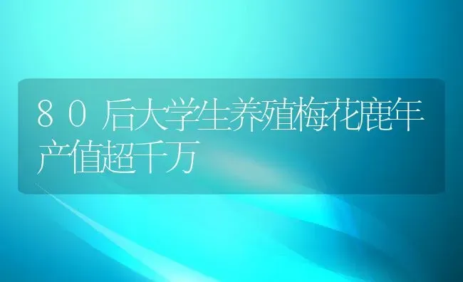 80后大学生养殖梅花鹿年产值超千万 | 动物养殖教程