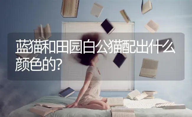 黑色拉布拉多背上有白毛是纯种吗？ | 动物养殖问答