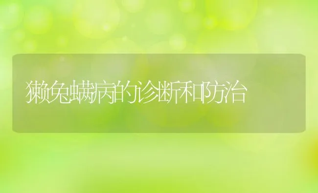 獭兔螨病的诊断和防治 | 动物养殖学堂