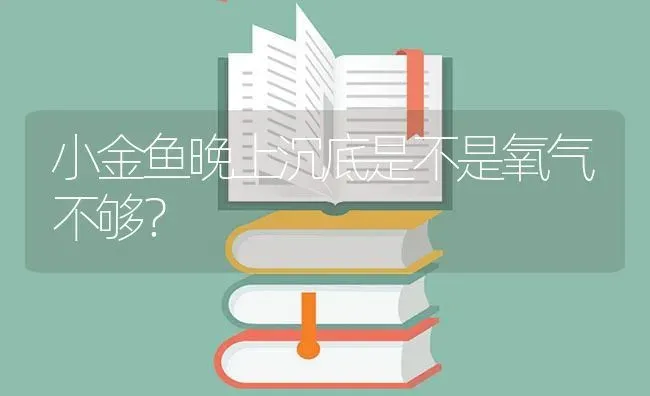 小金鱼晚上沉底是不是氧气不够？ | 鱼类宠物饲养