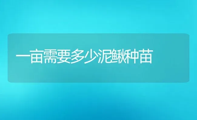 一亩需要多少泥鳅种苗 | 动物养殖百科