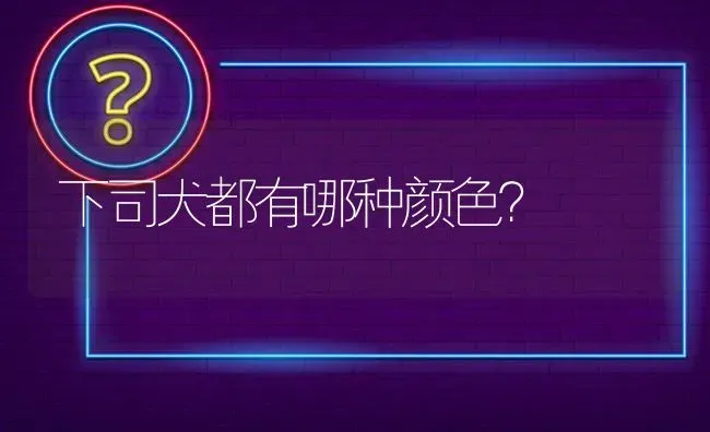 下司犬都有哪种颜色？ | 动物养殖问答