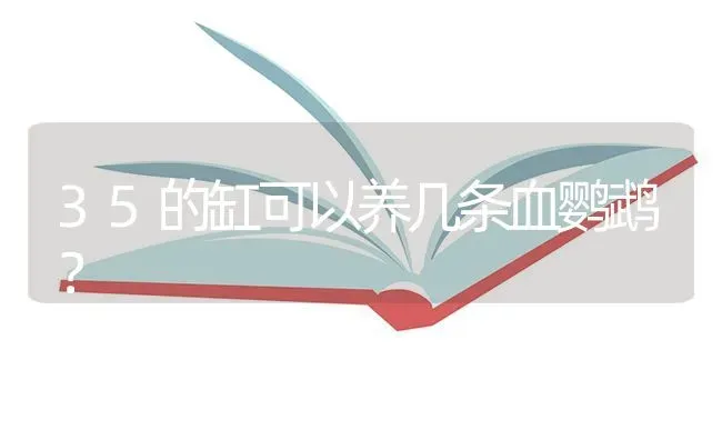 35的缸可以养几条血鹦鹉？ | 鱼类宠物饲养