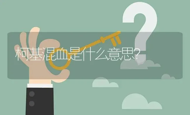 柯基混血是什么意思？ | 动物养殖问答