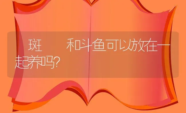 紅斑馬魚和斗鱼可以放在一起养吗？ | 鱼类宠物饲养